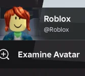 Local Username Hider